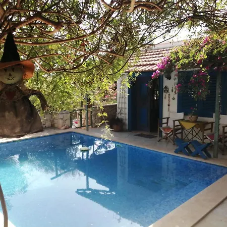 Yesil 2