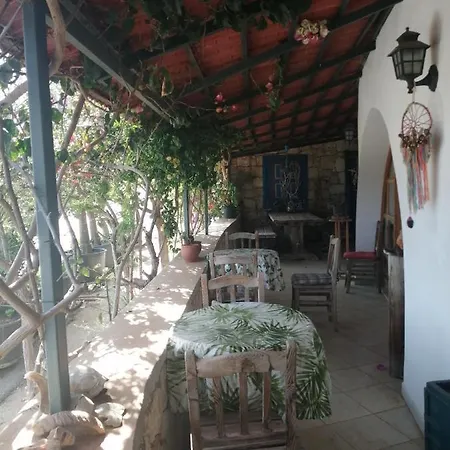 Yesil 2 Pensiune